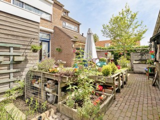 Puntstraat  Puntstraat 35 in Zaamslag