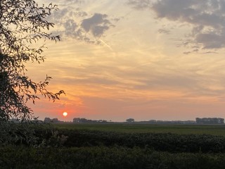 Kwakkel  Kwakkel 1 in Zaamslag