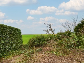  Lageweg 13 in Ossenisse